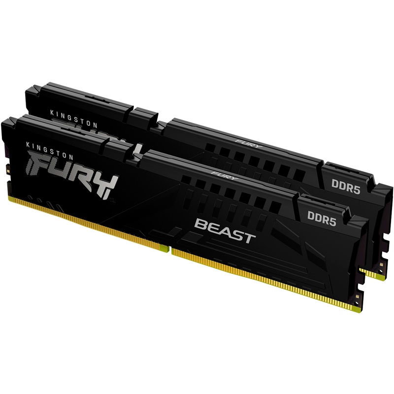Kingston FURY Beast Black KF556C40BBK2-32